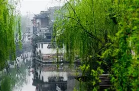 九博体育 - 江南山猫队读秒绝平塞北雄鲨队，射击附加赛上演耐力碾压对手！边后卫成为亮点